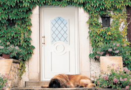 Une porte d’entrée vitrée ou pleine pour ma maison ?